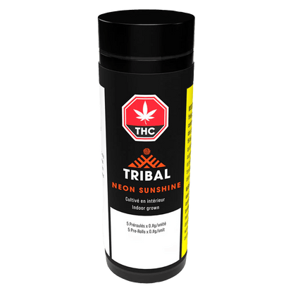 Tribal 3 g Neon Sunshine PR 5 x 0.6 g Joints