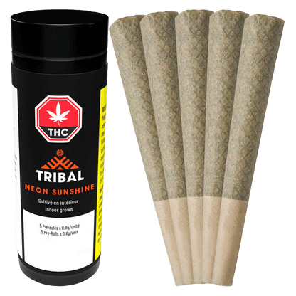 Tribal 3 g Neon Sunshine PR 5 x 0.6 g Joints