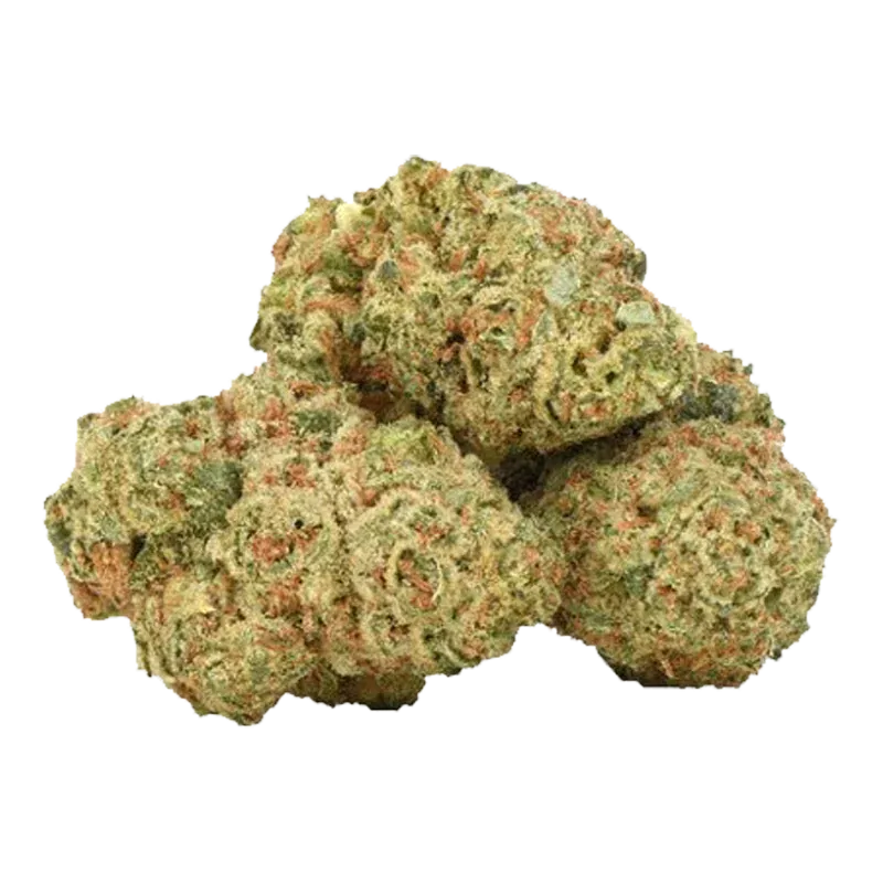 Close-up of a small cluster of light-green, orange-flecked buds of Organic Durban Gorilla against a plain white background.