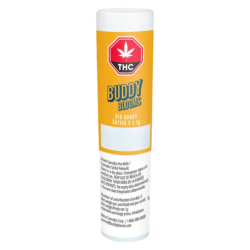 Tall front-facing tube labeled "Big Buddy PR 5 x 1 g" with a yellow Buddy Blooms panel, THC symbol, and small printed text below.