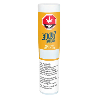 Tall front-facing tube labeled "Big Buddy PR 5 x 1 g" with a yellow Buddy Blooms panel, THC symbol, and small printed text below.