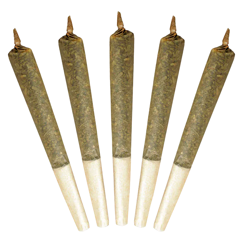 Top-down view of five cone-shaped pre-rolls arranged fanned out, showing the paper tips and twisted ends of the Big Buddy PR 5 x 1 g.