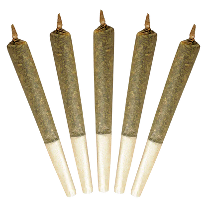 Top-down view of five cone-shaped pre-rolls arranged fanned out, showing the paper tips and twisted ends of the Big Buddy PR 5 x 1 g.