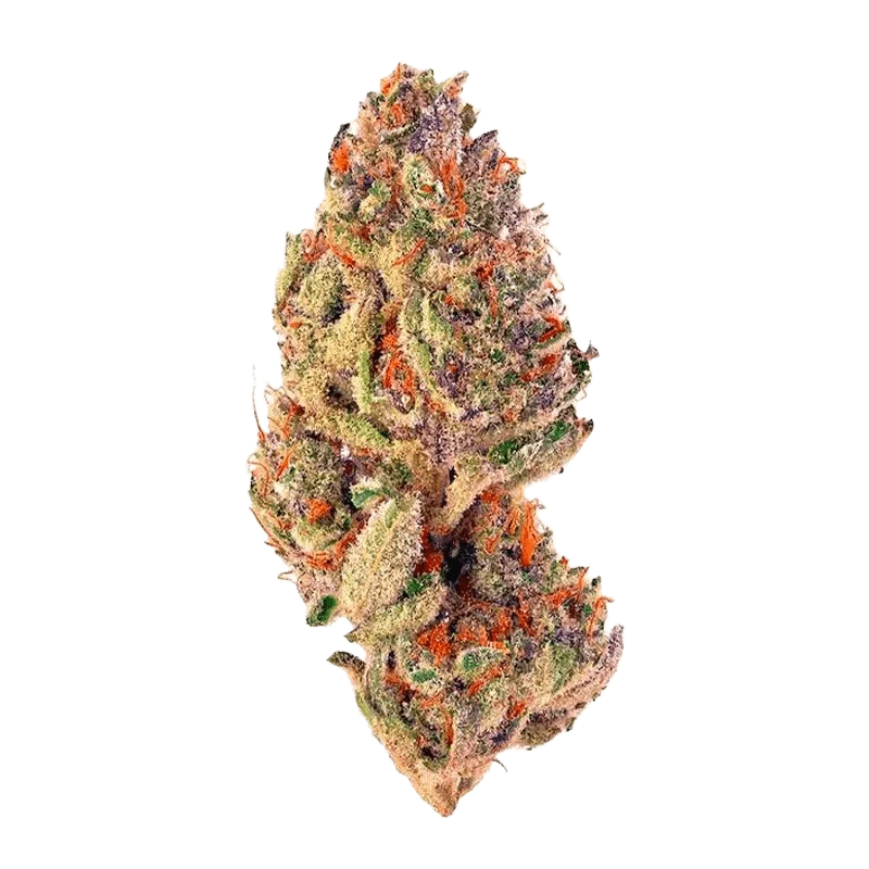 Close-up of the Trop Cherry, showcasing its vibrant color and smooth, rounded form against a plain white background.