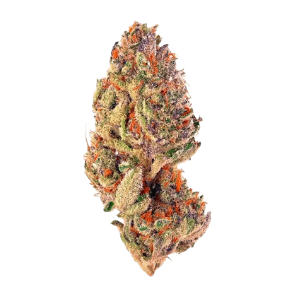 Close-up of the Trop Cherry, showcasing its vibrant color and smooth, rounded form against a plain white background.