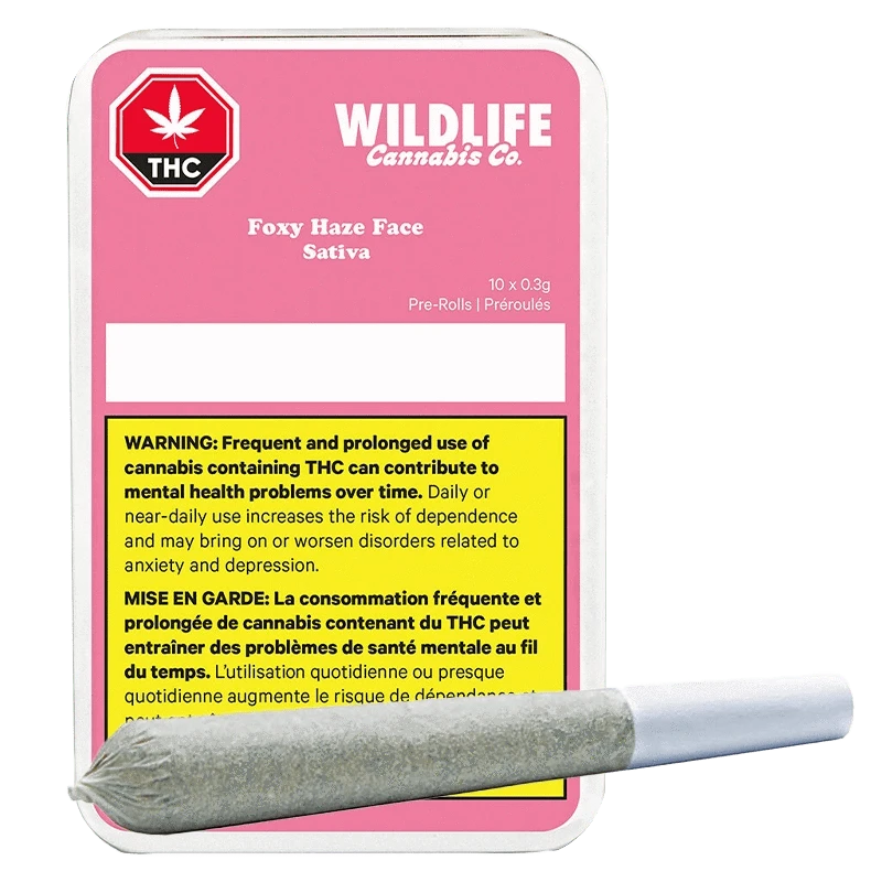 Front-facing pink tin labeled "Wildlife Cannabis Co. Foxy Haze Face PR 10 x 0.3 g" with a single pre-roll resting diagonally across its lower edge.
