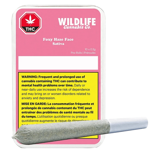 Front-facing pink tin labeled "Wildlife Cannabis Co. Foxy Haze Face PR 10 x 0.3 g" with a single pre-roll resting diagonally across its lower edge.