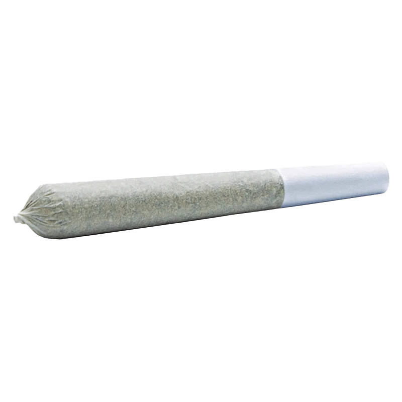 Angled close-up of a single rolled joint labeled Foxy Haze Face PR 10 x 0.3 g on a white background, showing the twisted tip and paper filter.