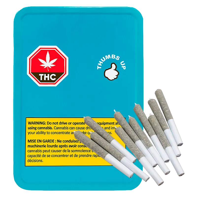 Top-down view of a teal tin labelled Sativa PR 10 x 0.35 g with a yellow warning label and eight pre-rolled joints fanned across its corner