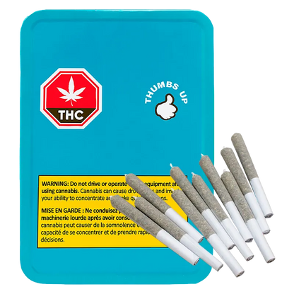 Top-down view of a teal tin labelled Sativa PR 10 x 0.35 g with a yellow warning label and eight pre-rolled joints fanned across its corner