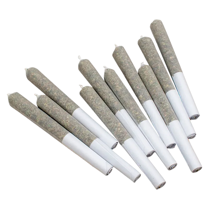 Angled top-down view of ten rolled joints arranged in a fan, labeled Sativa PR 10 x 0.35 g, showing greenish herb and white paper tips.
