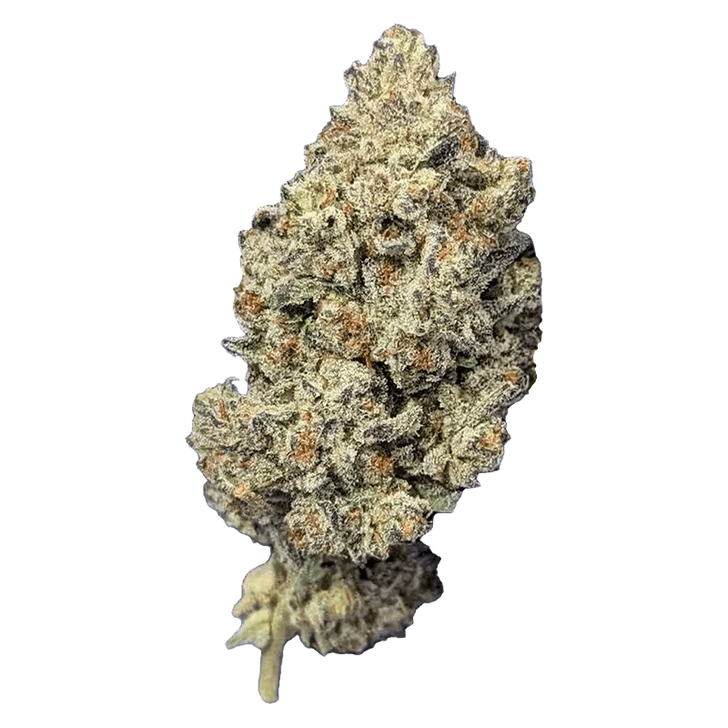 Papa's Herb 14 g Astro Pink Whole Flower