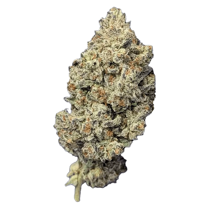 Papa's Herb 14 g Astro Pink Whole Flower