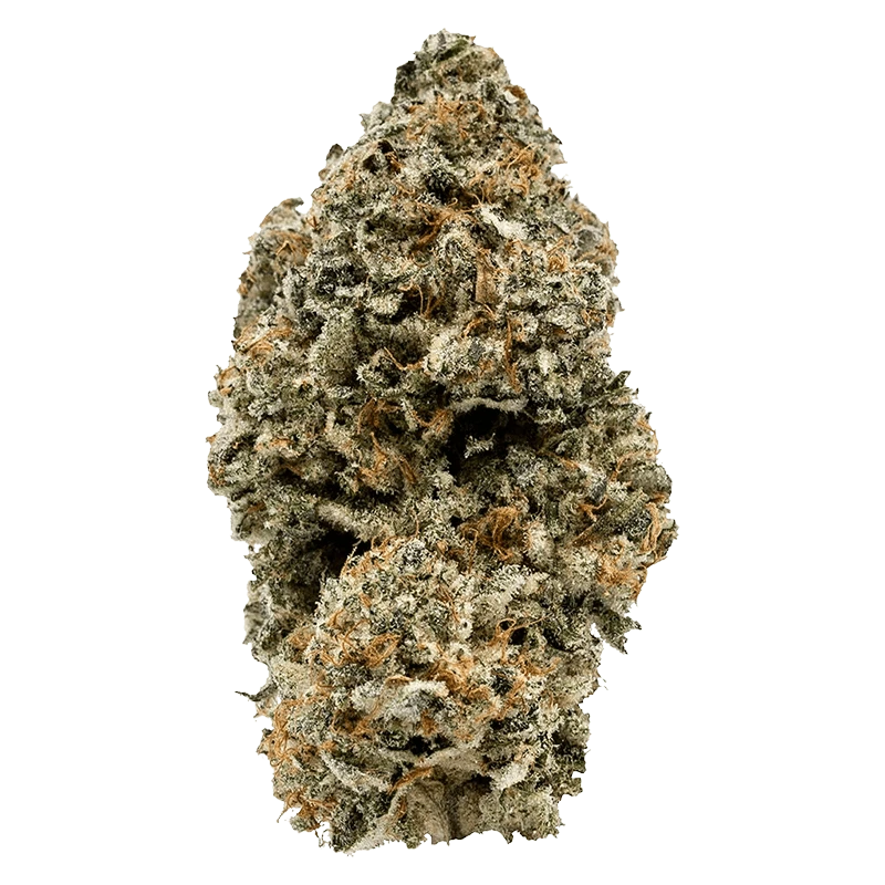 Close-up of a frosty, green and orange cone-shaped bud photographed head-on, labeled Death Vader.