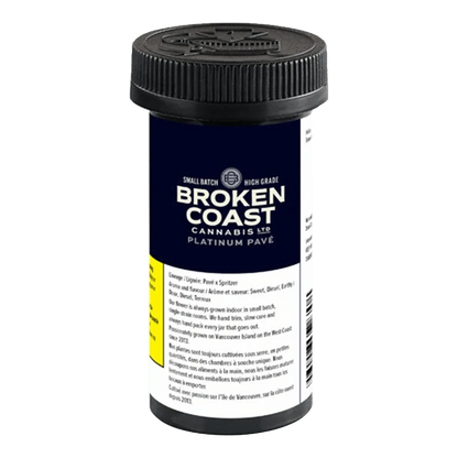 Broken Coast Platinum Pave Flower