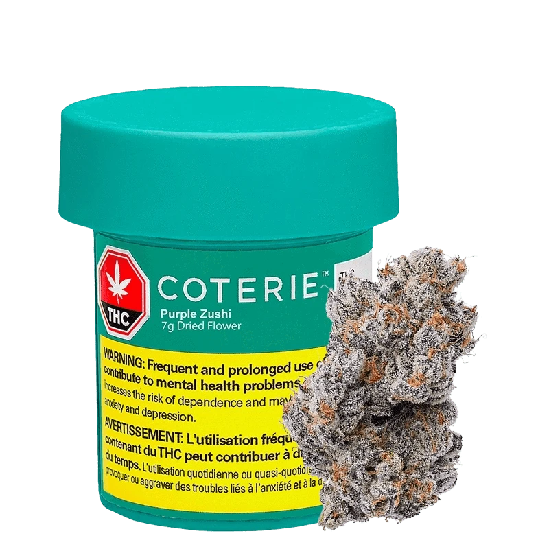 Weed Sweet DRIVE 国内純正品 Coterie Purple Zushi 7g - Canna Cabana Cannabis Strain: Lowest