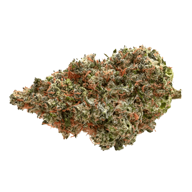 Pure Sunfarms Neon Lambo High THC Indica 7g | Canna Cabana: Lowest Pure Sunfarms Neon Lambo High THC Indica 7g | Canna Cabana: Lowest