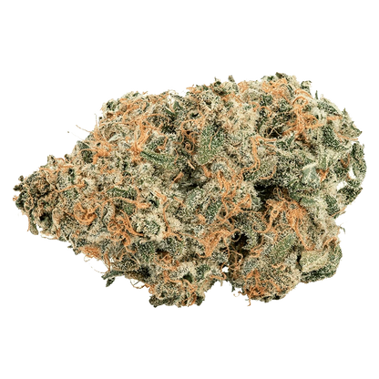 Close-up view of the Purple Cherry Punch flower, displaying vibrant green and purple hues with a detailed, textured surface.