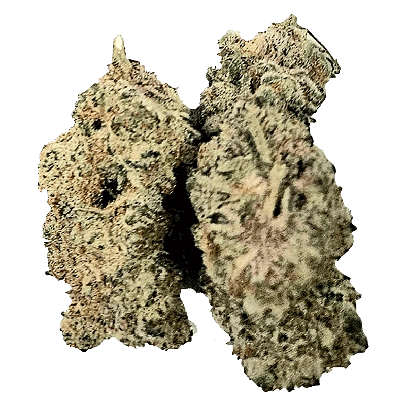 CANNABIS×Barbudos×yasuhide ono3点セット CANNABIS×Barbudos CANNABIS×Barbudos×yasuhide ono3点セット CANNABIS×Barbudos