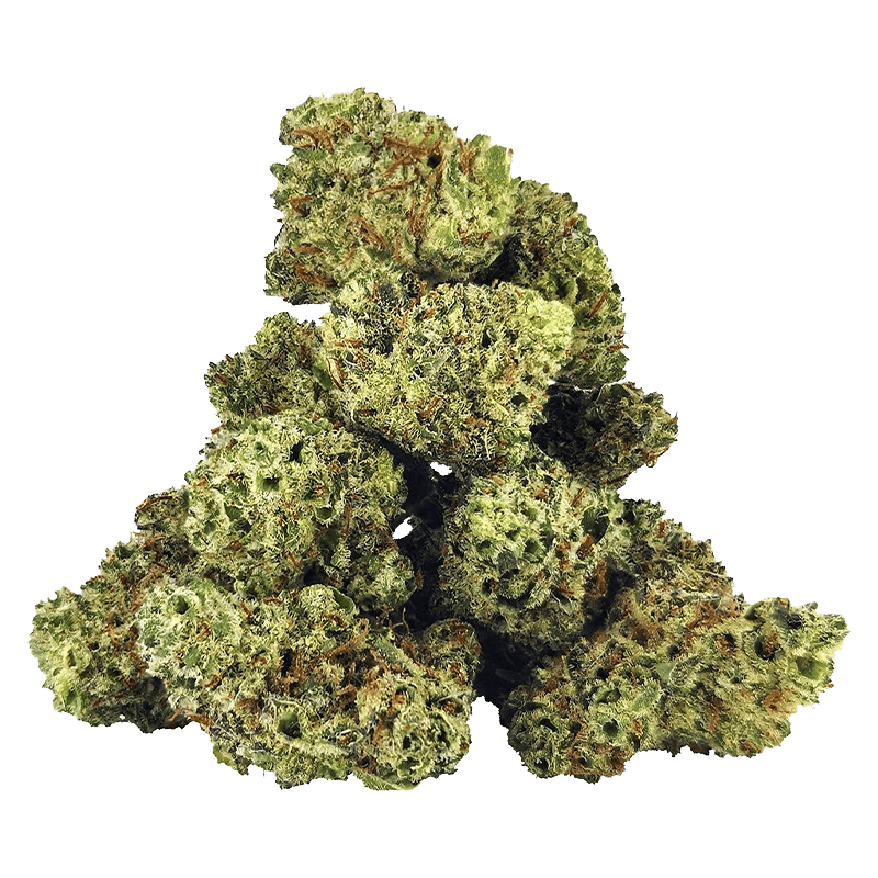 A close-up, angled view of the White Fire OG Craft Smalls, displaying a tightly-budded, vibrant green plant.