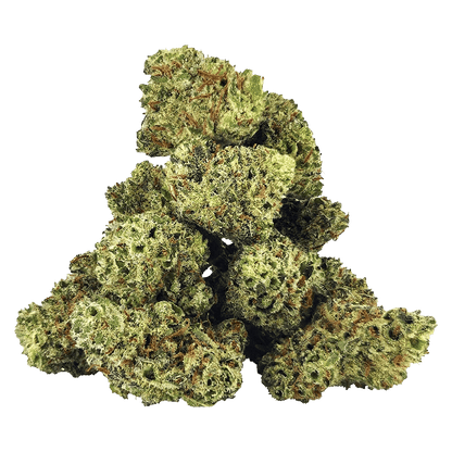 A close-up, angled view of the White Fire OG Craft Smalls, displaying a tightly-budded, vibrant green plant.