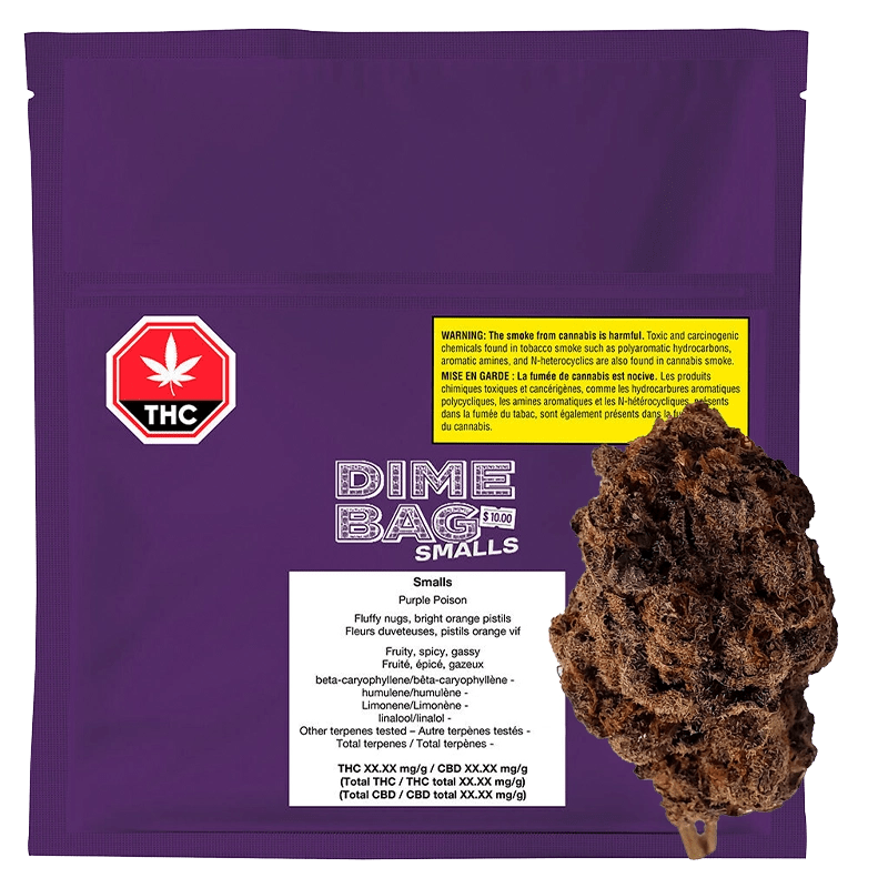 bamix M250 パープル　WW5114 バーミックス：新機種M250の特長