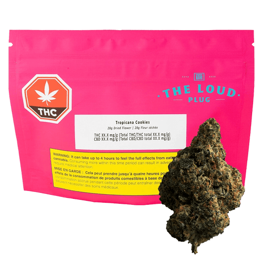 Close-up of Tropicana Cookies flower in a plastic bag with branding elements, showcasing the vibrant green buds.