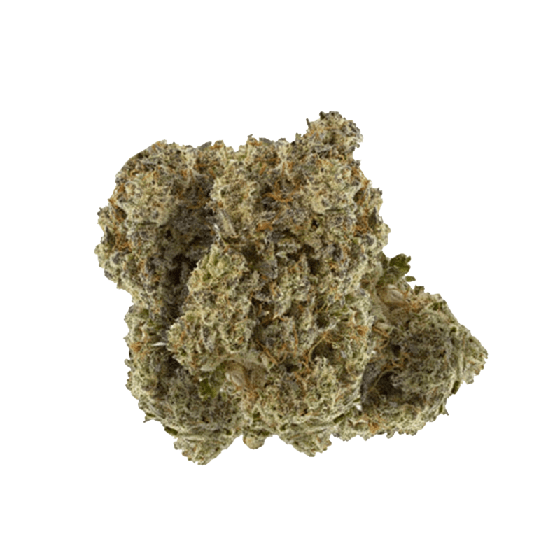 Close-up of the Double Tap Indica flower, displaying a textured bud against a plain white background.