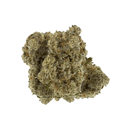 Close-up of the Double Tap Indica flower, displaying a textured bud against a plain white background.