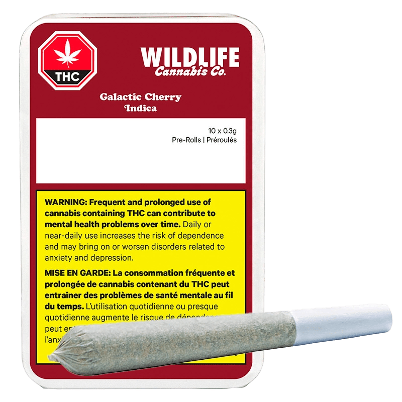 コリンシアン Pro stars select 500 CANNAVARO Kleavor V (Full Art