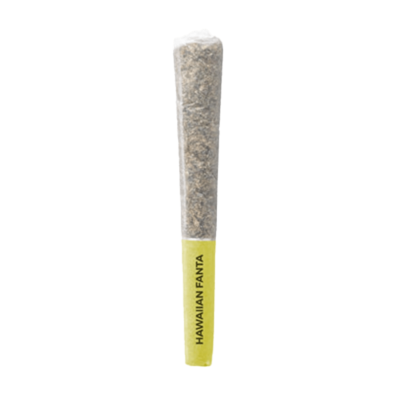 A close-up, side view of the Hawaiian Fanta Pre Rolled 10 x 0.5 g pre-roll, showcasing its tightly packed, textured roll.