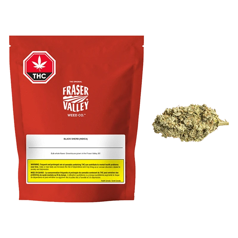 Front view of the Fraser Valley Black Sherb cannabis flower bud, showing its dense, trichome-covered structure.