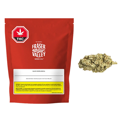 Front view of the Fraser Valley Black Sherb cannabis flower bud, showing its dense, trichome-covered structure.