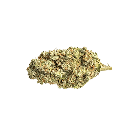 Close-up view of the Black Sherb cannabis bud, displaying a dense, textured surface with a greenish hue.