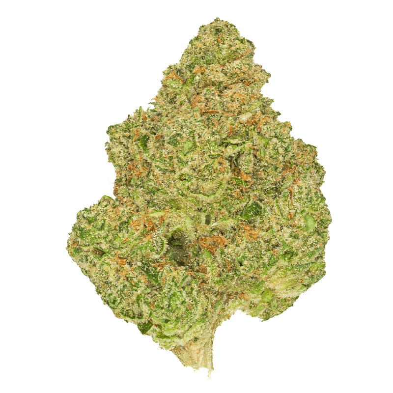 San Rafael Select 3.5 g Animal Control Flower