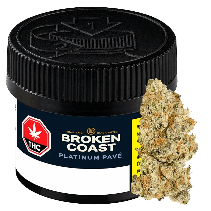 Broken Coast Platinum Pave Flower