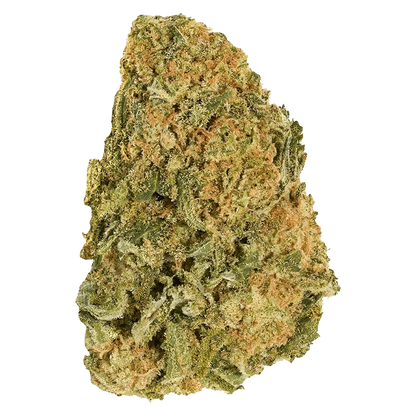 Close-up of the Sugar High with bright yellow and orange hues, viewed from a slight angle against a neutral backdrop.