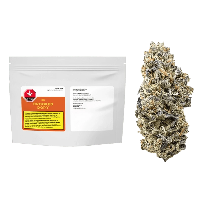 elfbar nachfüll pod läuft aus How Did Durban Poison Get Its Name? — Hashtag Cannabis main image 1