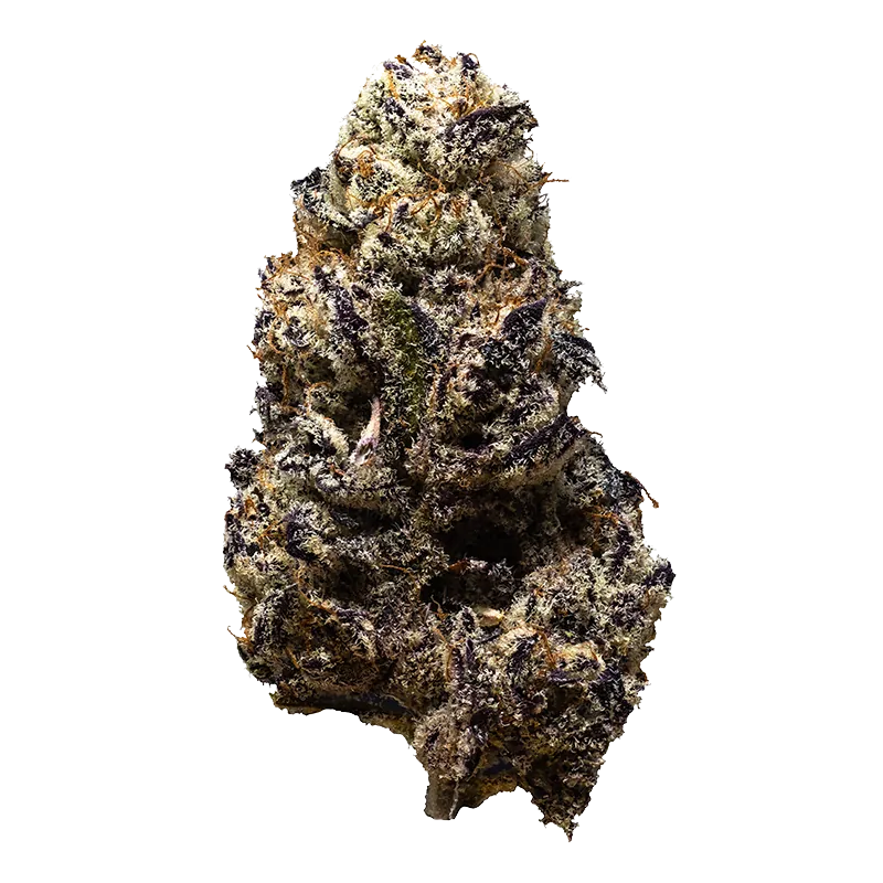 3rd Coast Genetics 14 g Black Truffle Flower
