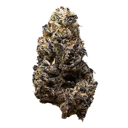 3rd Coast Genetics 14 g Black Truffle Flower