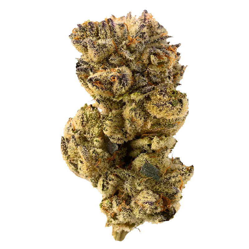 Joi Botanicals 3.5 g Mojito Cookies Whole Flower