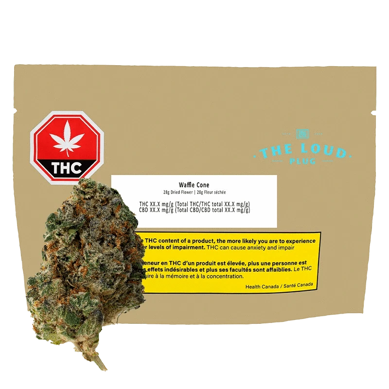 The Loud Plug Waffle Cone Hybrid 28g - Affordable Cones: Lowest