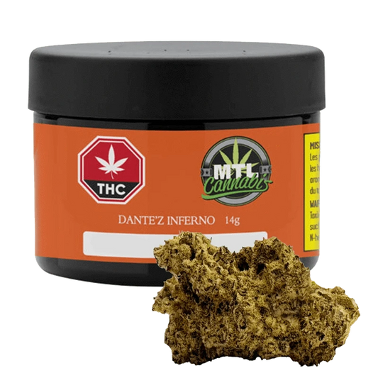 Close-up shot of Dante'z Inferno, a textured, brownish bud against a dark backdrop.