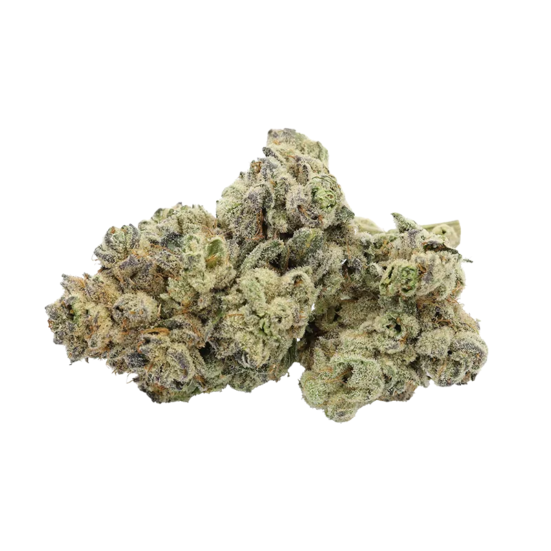 Close-up front view of a frosty, light-green nug cluster of Animal Tsunami against a plain white background.