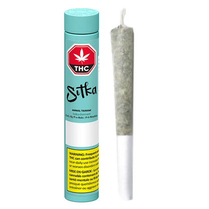Tall front view of a turquoise tube and a single pre-roll displayed side by side, labeled "Animal Tsunami PR 1 x 1 g".