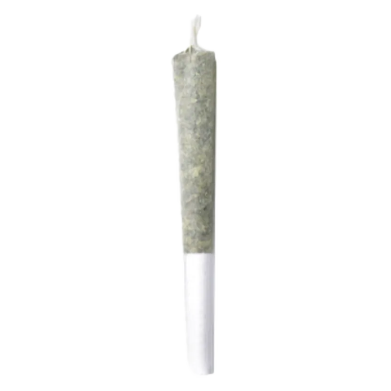 Centered vertical close-up of a pre-rolled joint against white background, labeled Animal Tsunami PR 1 x 1 g.