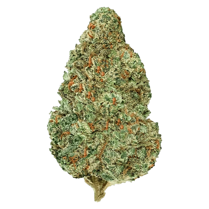 Chemzilla, a close-up view of a clear glass piece with a bent neck and simple design.