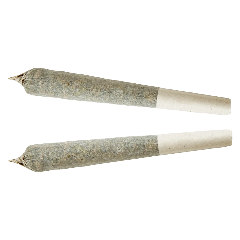 Front view of the Indica Pre Rolled 2 x 1 g pre-roll, showcasing its tightly packed, cylindrical shape against a plain white background.