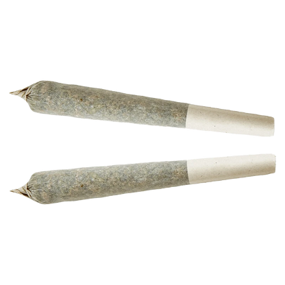 Front view of the Indica Pre Rolled 2 x 1 g pre-roll, showcasing its tightly packed, cylindrical shape against a plain white background.