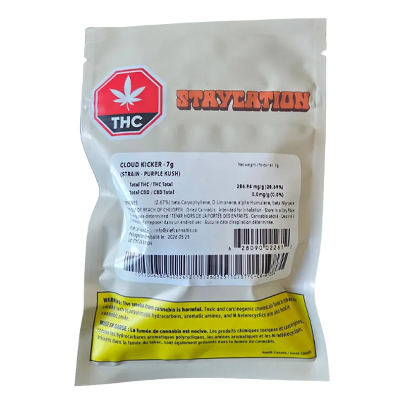 Staycation 7 g Cloud Kicker Flower